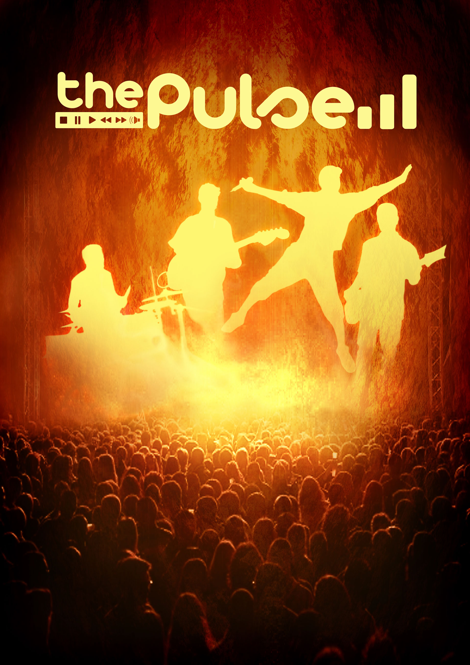 Affiche concert the pulse visuel foule public concert rock funk festif toulouse ambiance mariage